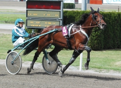 Ugly Duckling 160621-9